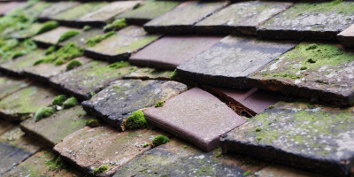 Willen roof repair costs